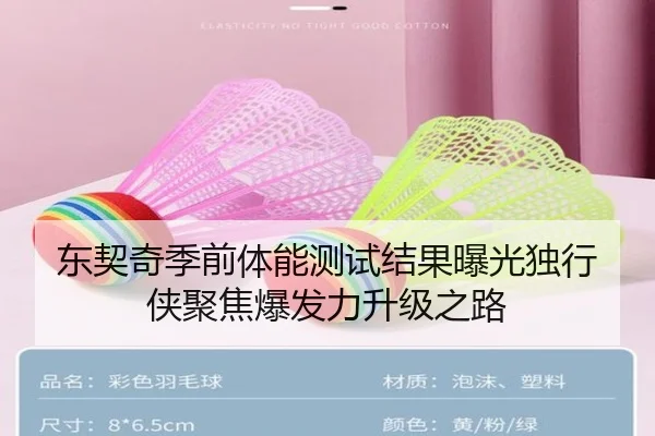 东契奇季前体能测试结果曝光独行侠聚焦爆发力升级之路